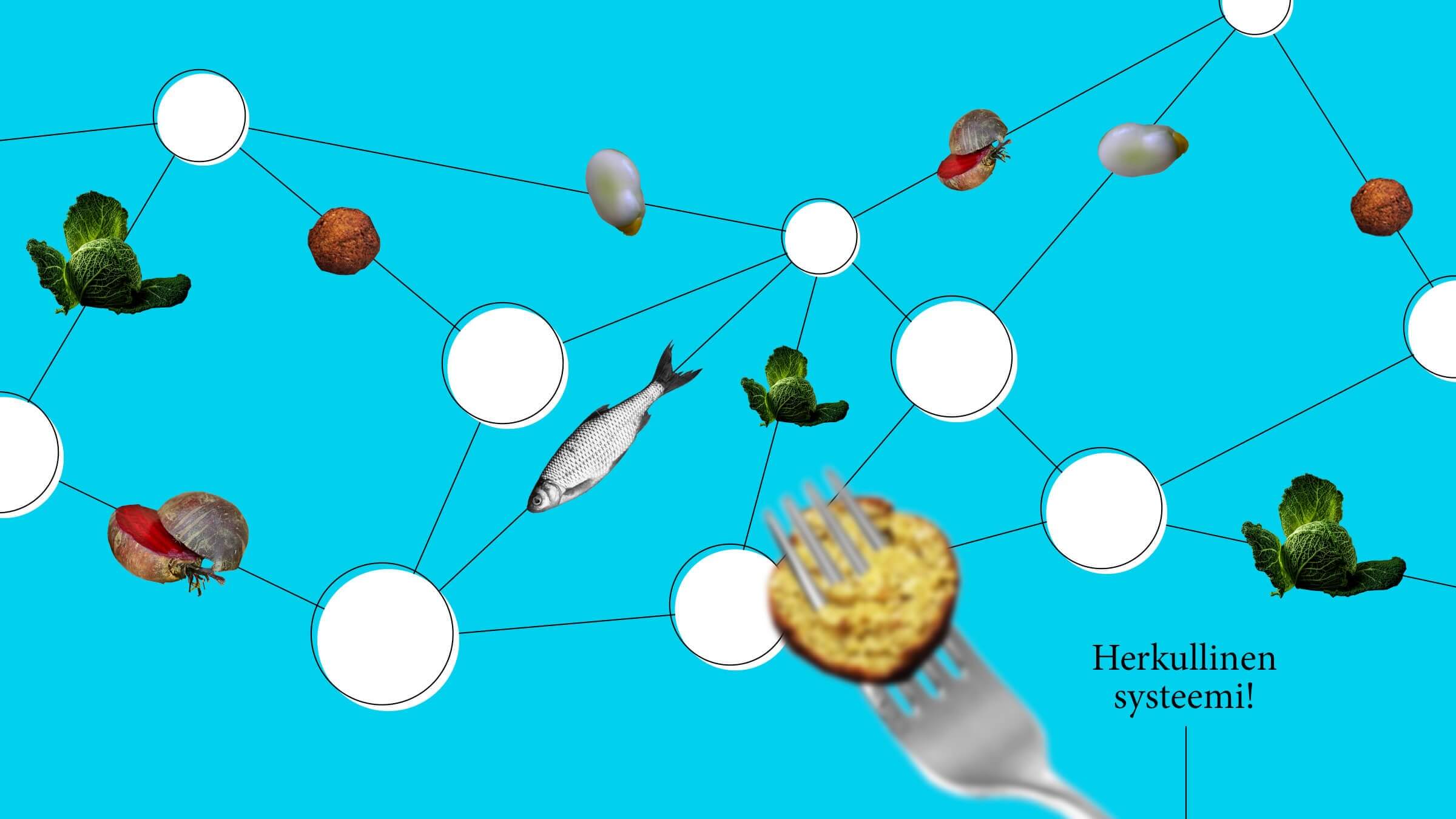 A Regional Sustainable Food System Sitra