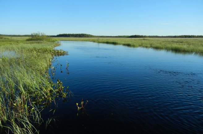 Paukanevan maisemaa