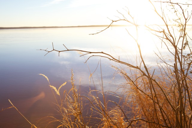 Pyhäjärven heinikkoa