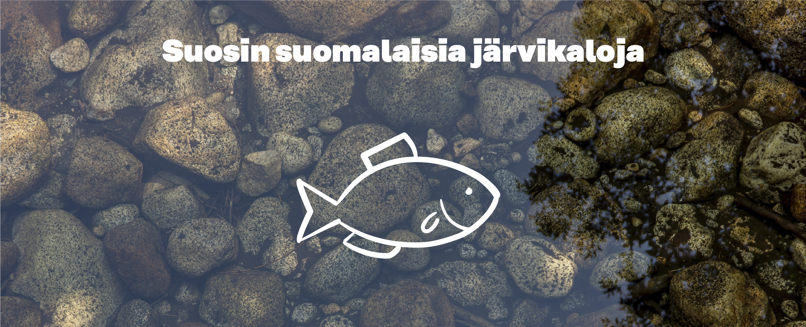 Suosin suomalaisia järvikaloja