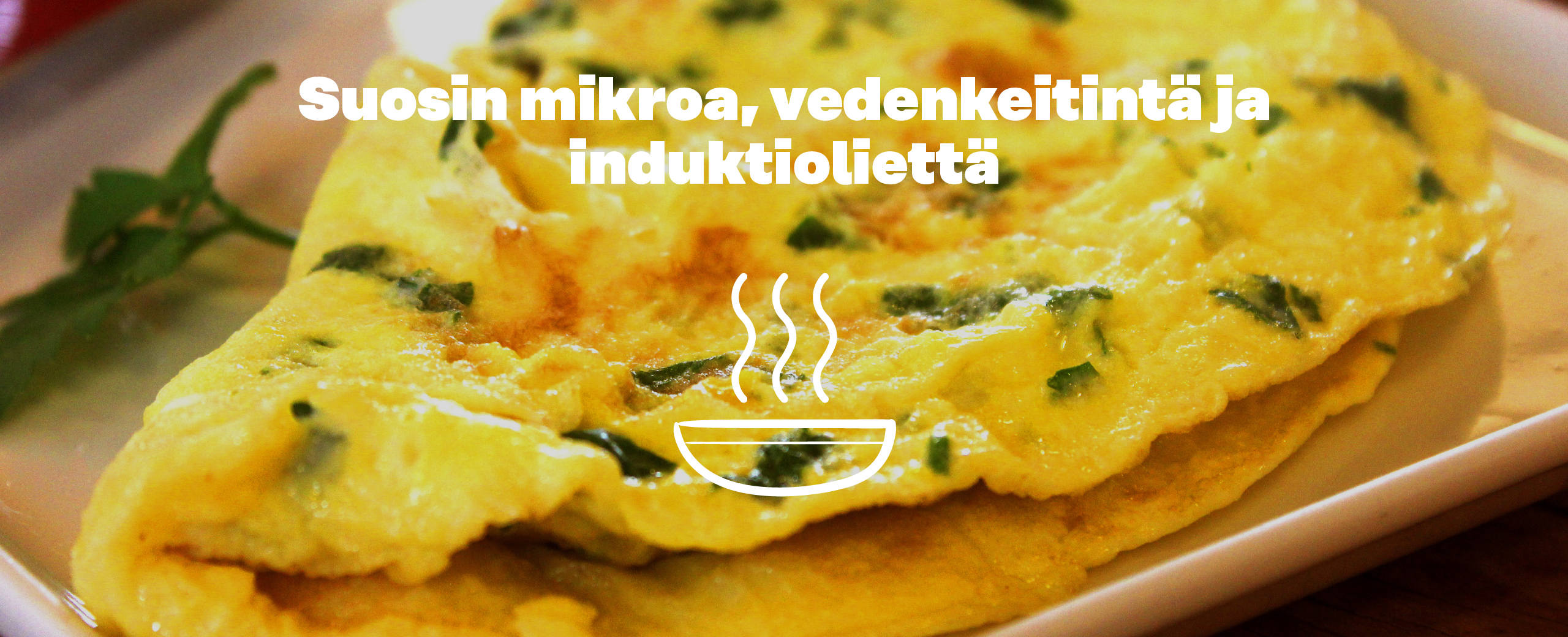 Suosin mikroa, vedenkeitintä ja induktioliettä