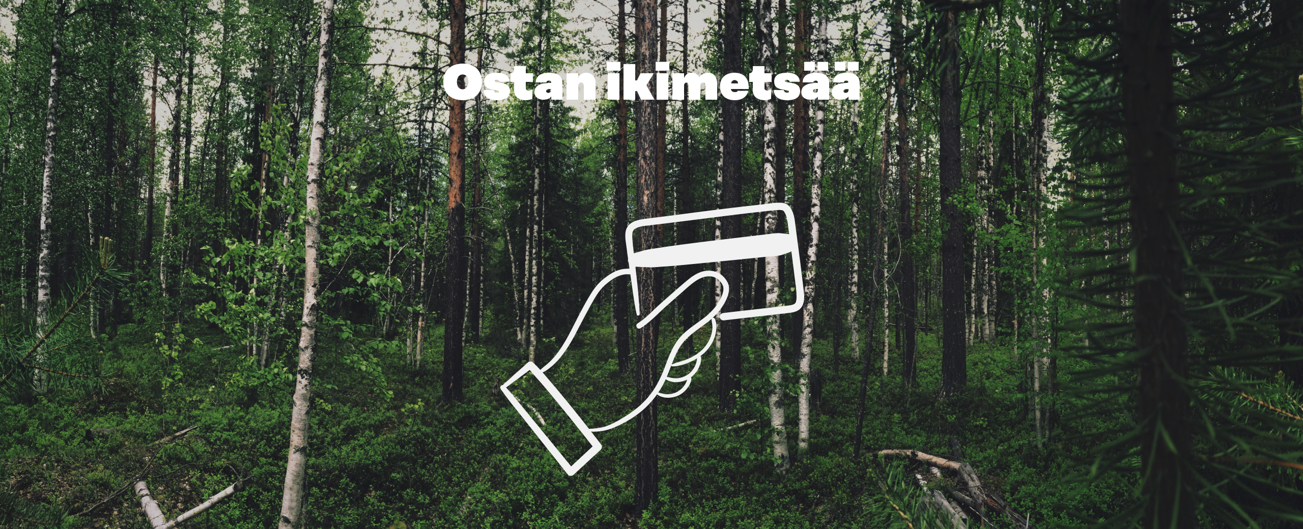 Ostan ikimetsää