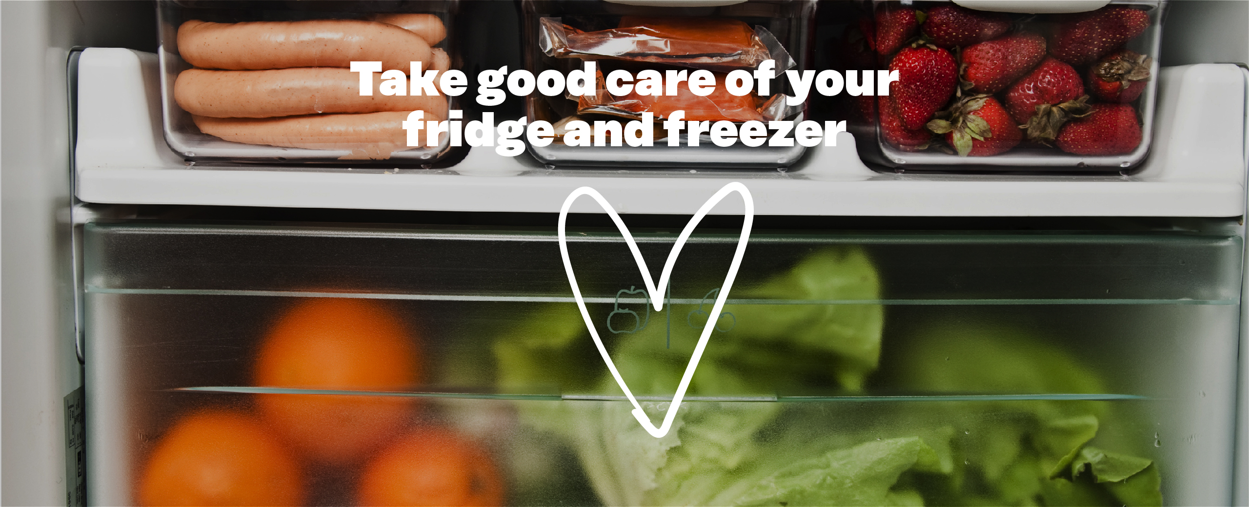 Take good care of your fridge and freezer