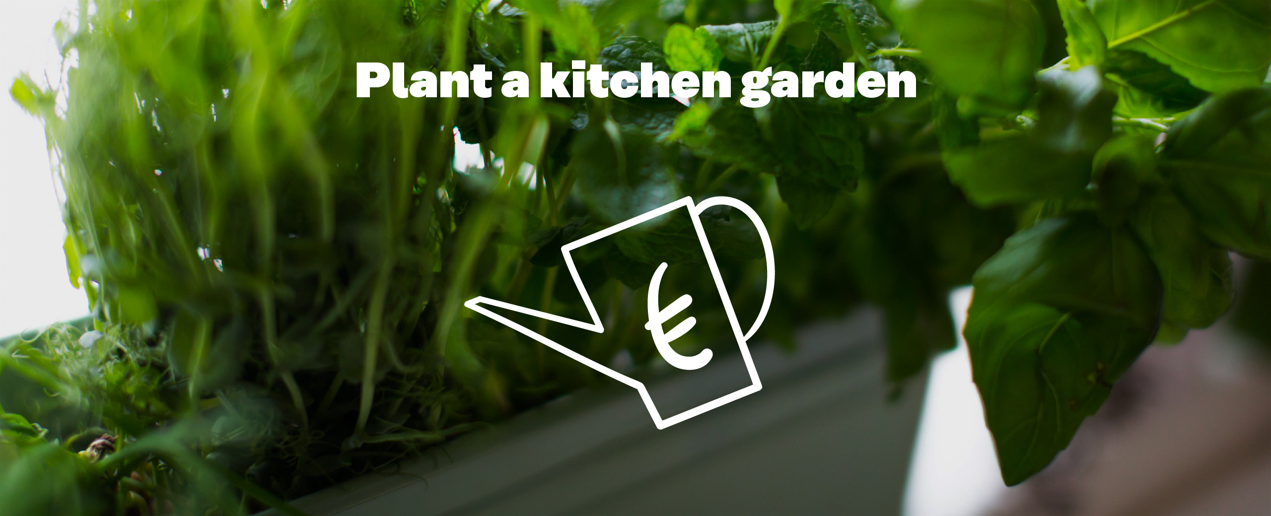 Plant a kitchen garden