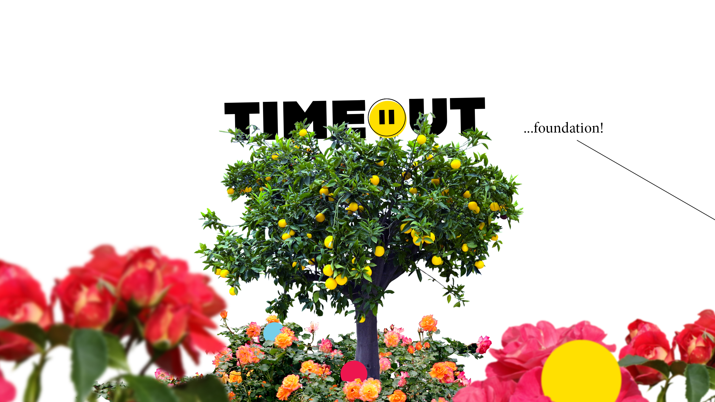 A tree with Timeout logo