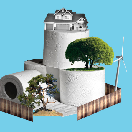 A house on a hill of toilet paper, with trees and a windmill and a wooden fence.