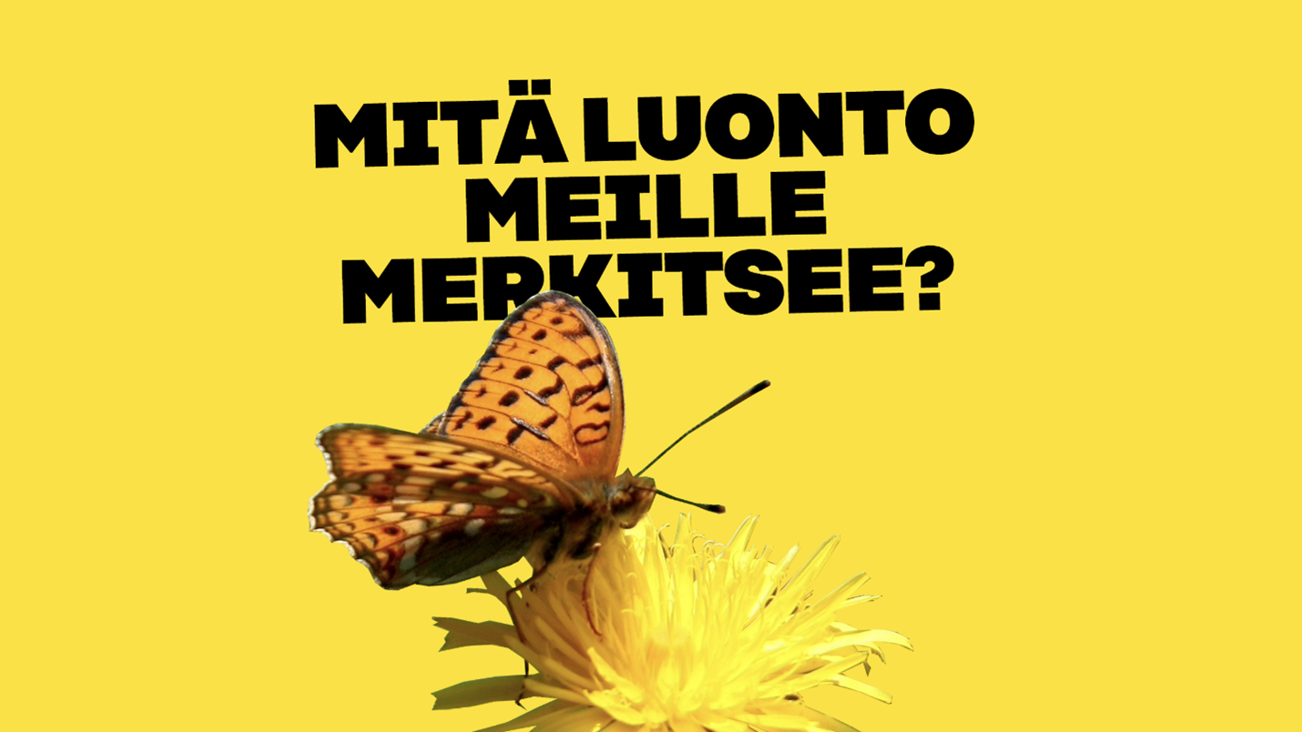 Mitä luonto meille merkitsee?