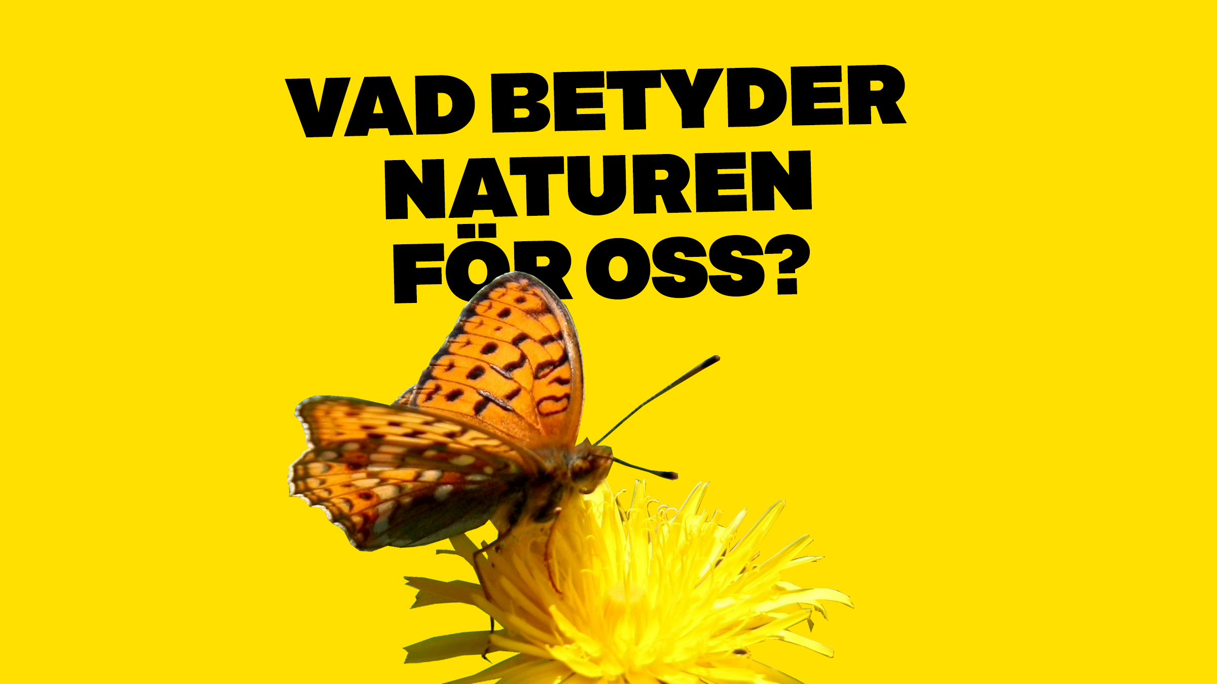 Vad betyder naturen för oss?