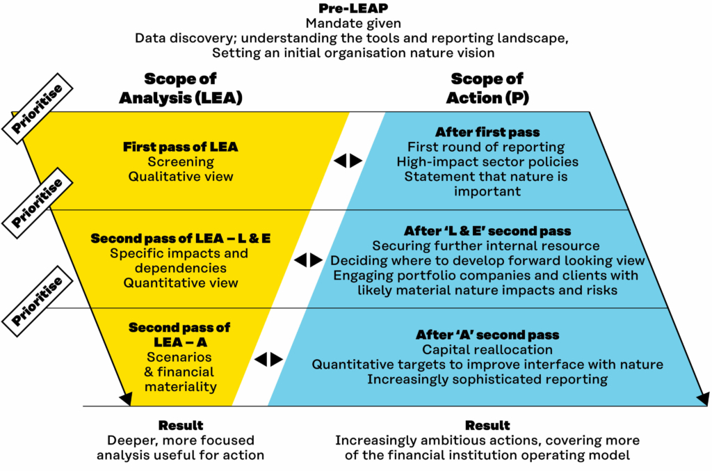 A ‘double funnel’ figure displaying how the scope of analysis narrows during successive passes of LEA, while the scope of action widens.

The first pass involves screening, provides a qualitative view and allows for a first round of reporting, high-impact sector policies and a statement that nature is important.

The L & E parts of the second pass explore specific impacts and dependencies, with a quantitative view and allows for securing further internal resource, deciding where to develop forward a looking view and engaging portfolio companies and clients.

The E part of the second pass develops scenarios and links to financial materiality, and allows for capital reallocation, target-setting and increasingly sophisticated reporting.